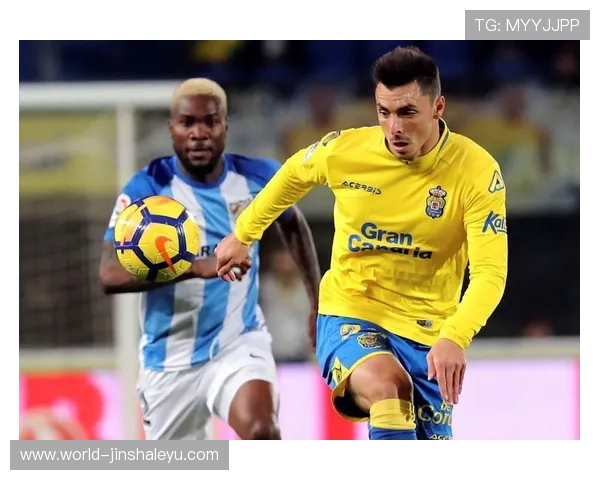 拉斯帕尔马斯足球俱乐部的辉煌历史与未来发展展望